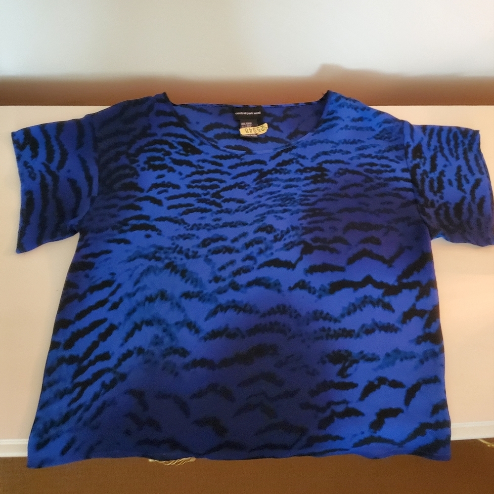 Aritzia Central Park West 100% silk shirt